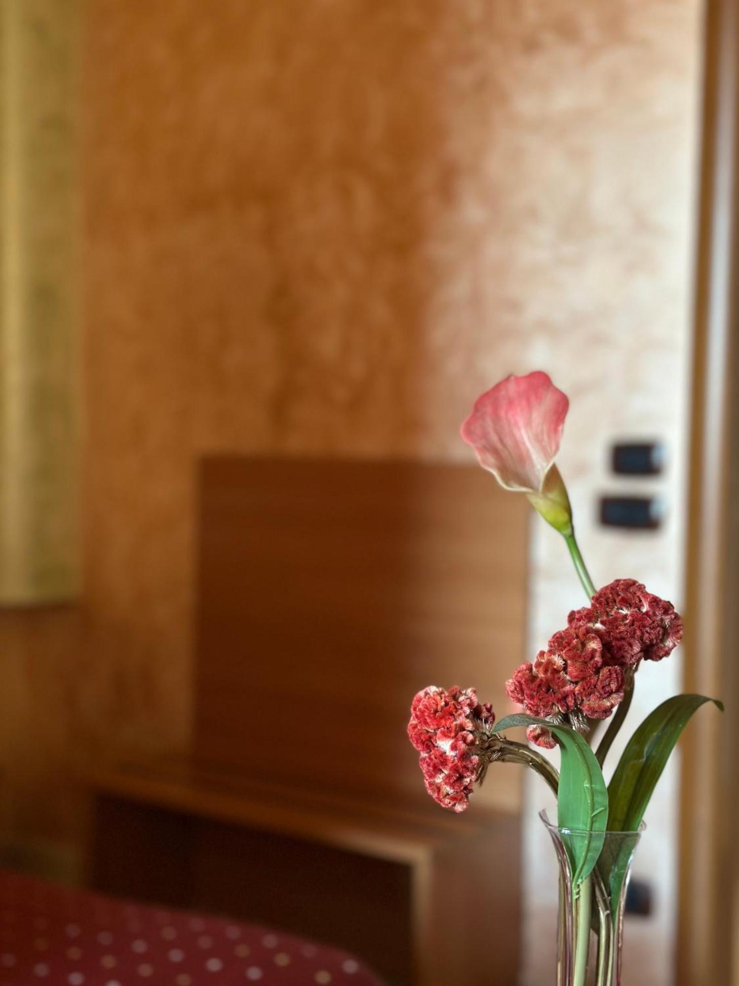Hotel Il Giardino Degli Aranci Нола Екстер'єр фото